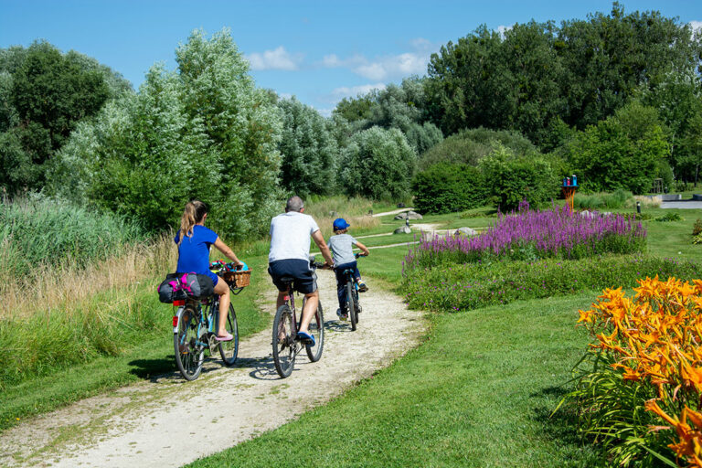 jardins-de-laltwasser-gabion-parc-nature-fleurissement-drusenheim2