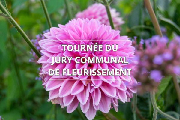 250718-tournée jury fleurissement-Drusenheim