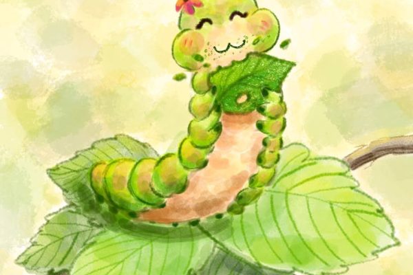 chenille