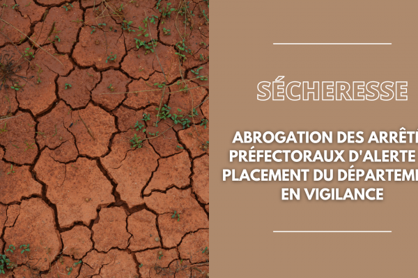 Images_site (2)