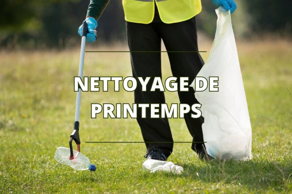 Images_site (29)