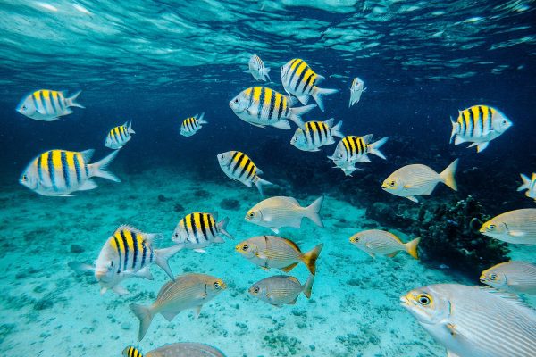 pexels-fukajaz-12017922 (1)